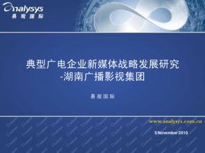 湖南廣播影視集團(tuán)新媒體戰(zhàn)略發(fā)展研究 以影視新媒體開(kāi)發(fā)為視角