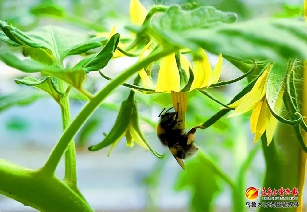 強信心 起好步 開新局丨科技賦能，食品企業以溫濕度控制器加速生產